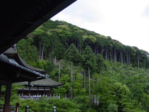 Greenery