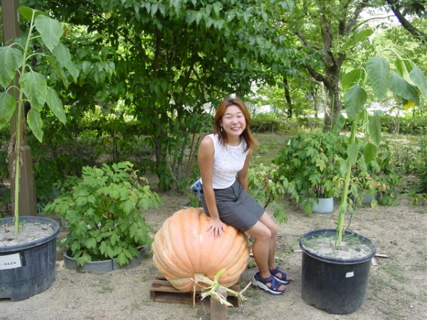 Pumpkin