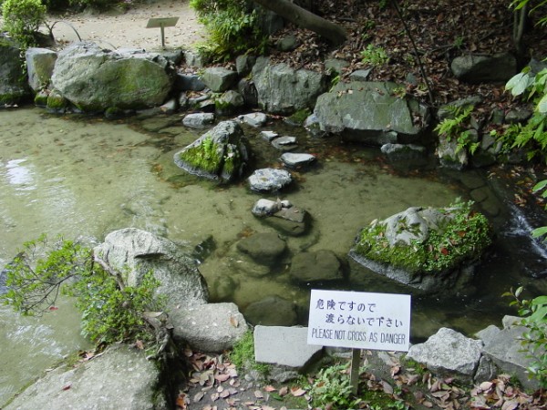 Rapids