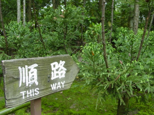 This Way