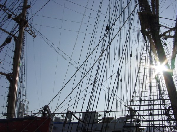 Tall Ships