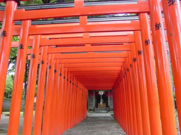 Nested Torii