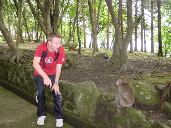 Monkeys