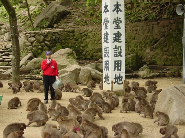 Feeding Time