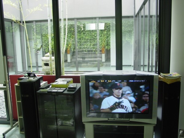 Go Giants