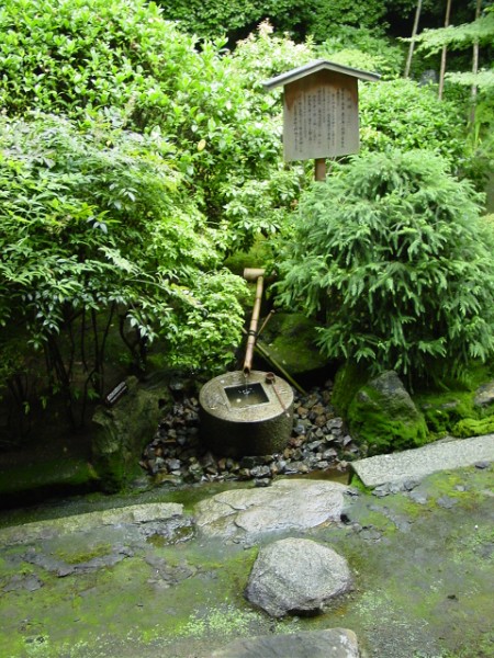 Bamboo Spigot
