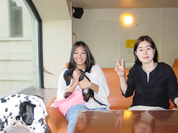 Dog Cafe