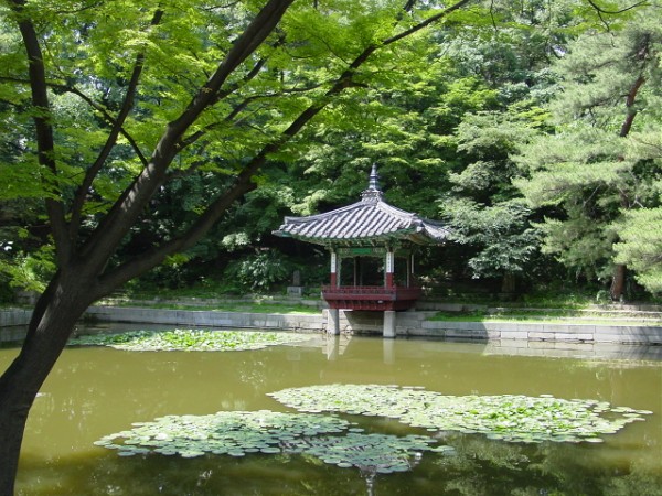 Piwon