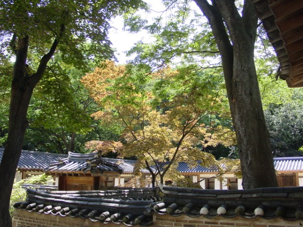 Cool Leaves