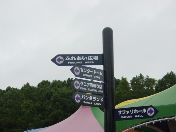 Feeling Area