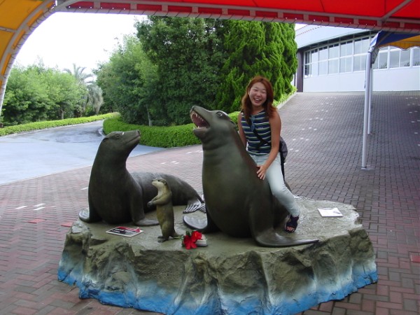 Sea Lion