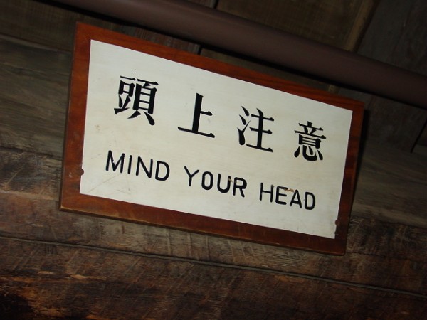 Mind Head