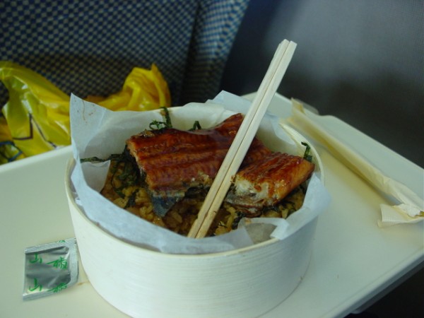 Unagi